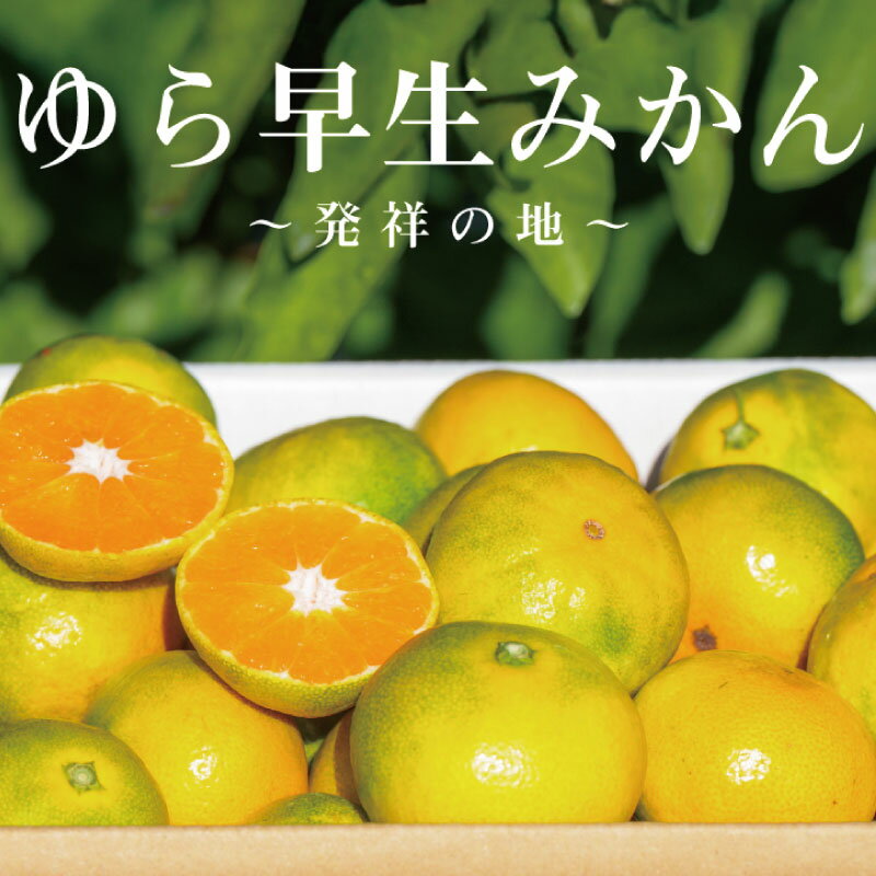 【ふるさと納税】和歌山県産 ゆら早生みかん サイズおまかせ3kg 農家直送【2025年10月中旬頃より順次発送予定】 | みかん 3kg 和歌山 蜜柑 和歌山県産 早生 先行予約 農家直送 特産品 名産品 ご当地 フルーツ ふるさと納税 返礼品