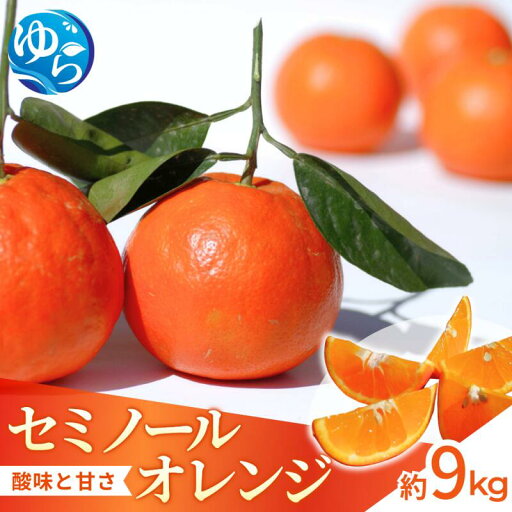 【ふるさと納税】セミノール 約9kg【来シーズン先行予約】※2026年4月上中旬より順次発送 / 和歌山県 柑橘 みかん 蜜柑 フルーツ 果物 くだもの 食品 人気 由良町 晩柑 おすすめ 送料無料 産地直送 【ふるさと納税】セミノール 約9kg【来シーズン先行予約】※2026年4月上中旬より順次発送 / 和歌山県 柑橘 みかん 蜜柑 フルーツ 果物 くだもの 食品 人気 由良町 晩柑 おすすめ 送料無料 産地直送