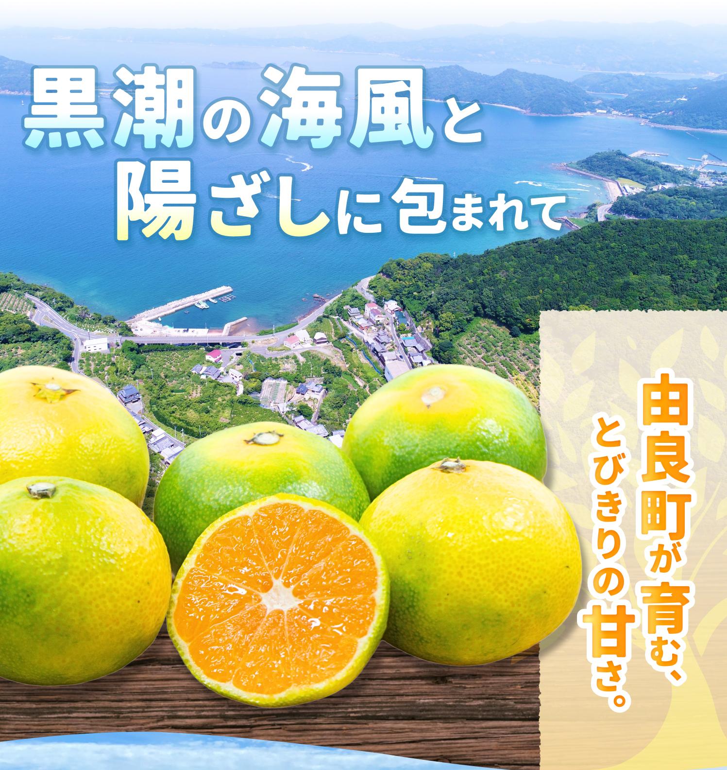 和歌山県由良町の画像2