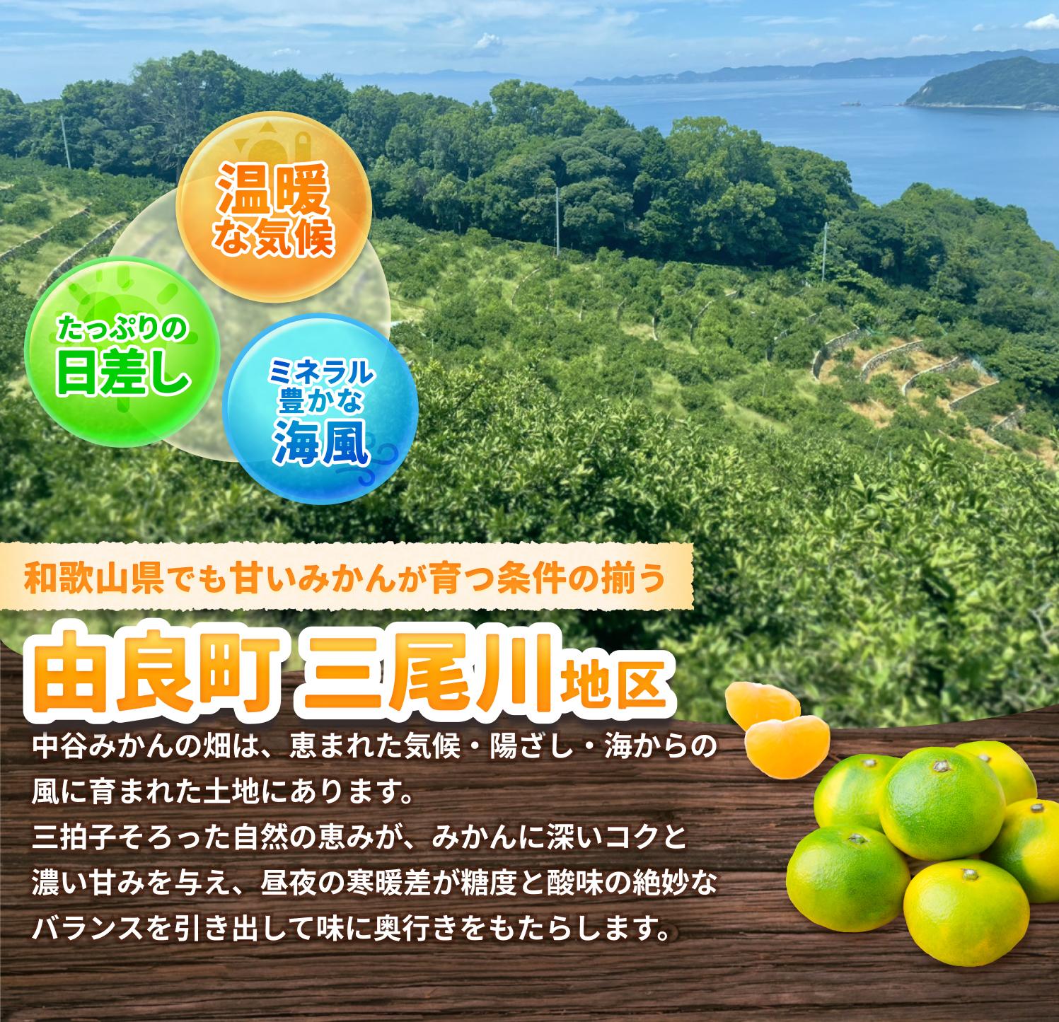 和歌山県由良町の画像3