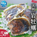 【ふるさと納税】天然岩牡蠣(加熱食用)サイズが選べる!5個入 / カキ 岩ガキ 加熱用 魚介類 水産 食品 海産物 和歌山県 由良町 産地直送人気 おすすめ 送料無料