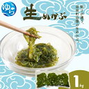 【ふるさと納税】\レビューキャンペーン中/ 生めかぶ 1kg【来シーズン先行予約】※2026年2月上旬頃~順次発送予定 / めかぶ サラダ 酢の物 天然 海藻 海鮮 新鮮 おかず ご飯お供 お取り寄せ グルメ 国産 食品 冷蔵 和歌山県 由良町