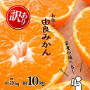 【ふるさと納税】和歌山由良みかん【容量が選べる】約5kg 約10kg 訳あり キズ 御家庭用 サイズ混合 | ※2025年11月下旬~2026年1月中旬頃順次発送予定 | みかん ミカン 和歌山 由良 おまかせ フルーツ 果物 柑橘 和歌山県産 お取り寄せ ふるさと納税 返礼品(4)