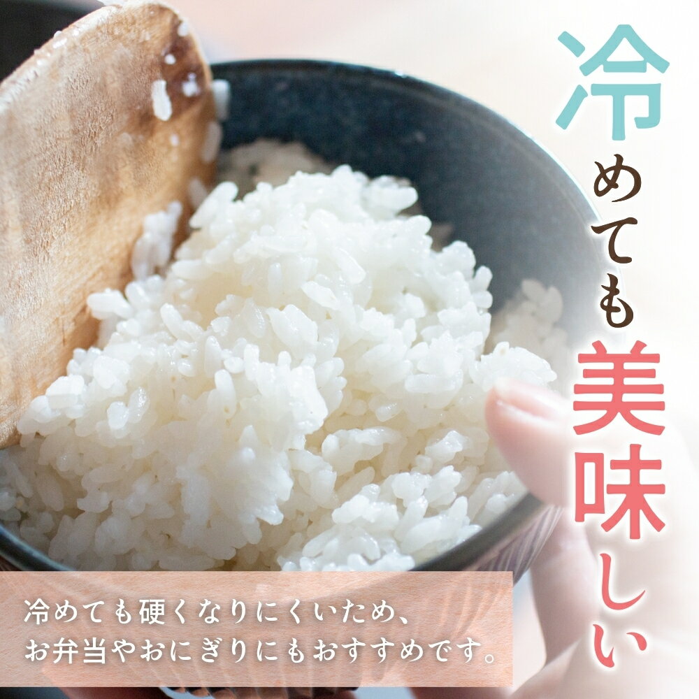 【ふるさと納税】【sola】健康美食　雑穀ブレンド