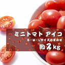 【ふるさと納税】【6月発送】ミニトマトアイコ(松トマト) 約2kg(S・M・Lサイズおまかせ) | トマト ミニトマト 松トマト 野菜 やさい 食品 人気 おすすめ 送料無料
