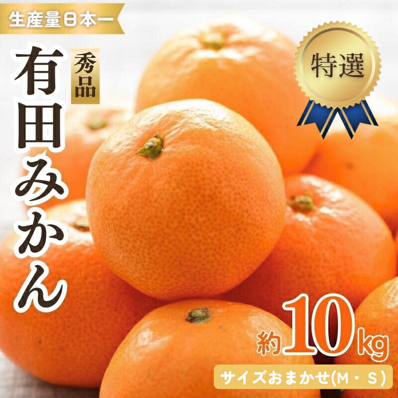 特選紀州有田みかん 秀品 約10kg サイズおまかせ(М・S) | ※2025年12月上旬〜下旬頃発送予定 | みかん ミカン 和歌山 由良 おまかせ フルーツ 果物 柑橘 和歌山県産 お取り寄せ ふるさと納税 返礼品