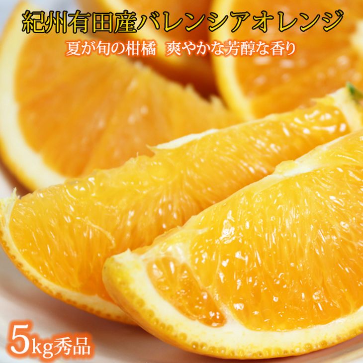 【ふるさと納税】秀品　希少な国産バレンシアオレンジ 5kg※2020年6月下旬頃〜7月中旬頃に順次発送予定