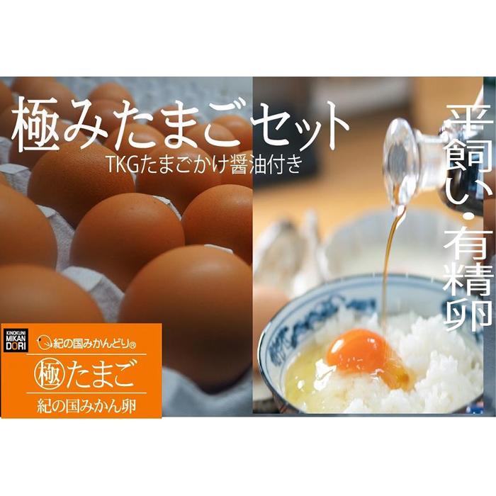 13位! 口コミ数「0件」評価「0」紀の国みかん極みたまごTKGセット | 和歌山県 印南町 和歌山 返礼品 支援 楽天ふるさと 納税 お取り寄せグルメ 取り寄せ グルメ 卵 ･･･ 