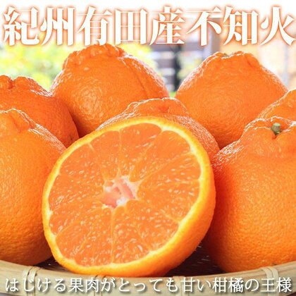 紀州有田産不知火(しらぬひ) 約5kg【2025年2月中旬以降発送】【先行予約】【UT40】 | 和歌山県 印南町 和歌山 楽天ふるさと お取り寄せグルメ 取り寄せ グルメ 不知火 フルーツ 果物