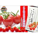 18位! 口コミ数「0件」評価「0」こく旨tomato調味料　150ml×8本 | 和歌山県 印南町 和歌山 返礼品 支援 楽天ふるさと 納税 調味料 万能調味料 トマト とま･･･ 