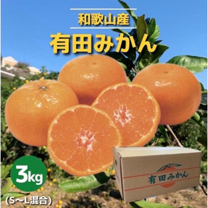 和歌山県産 有田みかん 3kg 秀品 | 和歌山県 印南町 和歌山 返礼品 支援 楽天ふるさと 納税 フルーツ 果物 くだもの 有田ミカン みかん ミカン 蜜柑 柑橘 柑橘類 ありだみかん ありたみかん 3キロ かんきつ お取り寄せグルメ 取り寄せ グルメ 特産品 秀