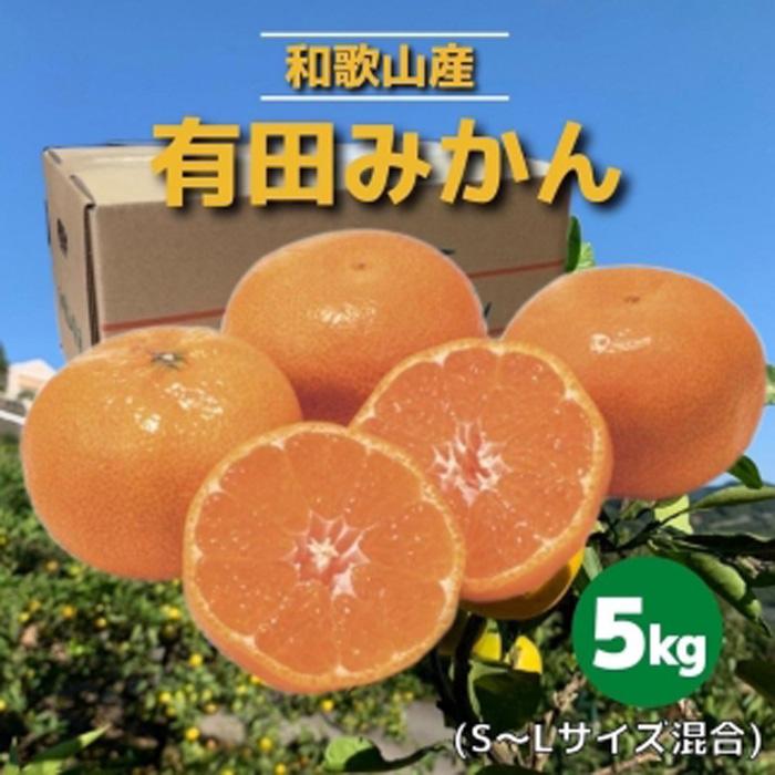 22位! 口コミ数「0件」評価「0」和歌山県産　有田みかん　5kg　秀品 | 和歌山県 印南町 和歌山 返礼品 支援 楽天ふるさと 納税 フルーツ 果物 くだもの 有田ミカン ･･･ 