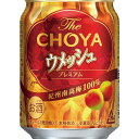 【ふるさと納税】【南高梅100％】The CHOYA ウメッシュプレミアム 250ml×24本 和歌山県 印南町 和歌山 返礼品 支援 楽天ふるさと 納税 梅酒 チョーヤ お酒 酒 チョーヤ梅酒 ウメッシュ リキュール アルコール飲料 アルコール お取り寄せ 取り寄せ 家飲み ひとり呑み