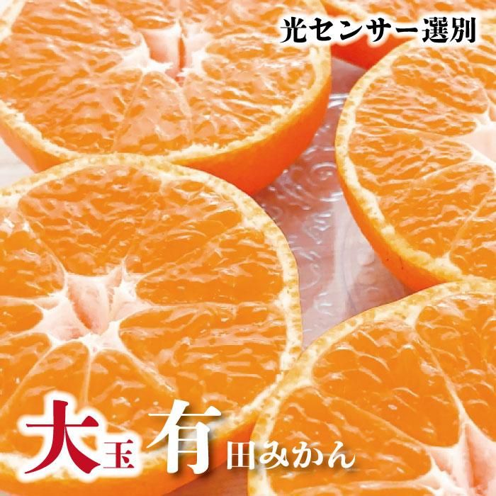 13位! 口コミ数「1件」評価「3」＜11月より発送＞家庭用 大きな有田みかん5kg+150g（傷み補償分）訳あり | フルーツ 果物 くだもの 食品 人気 おすすめ 送料無料･･･ 