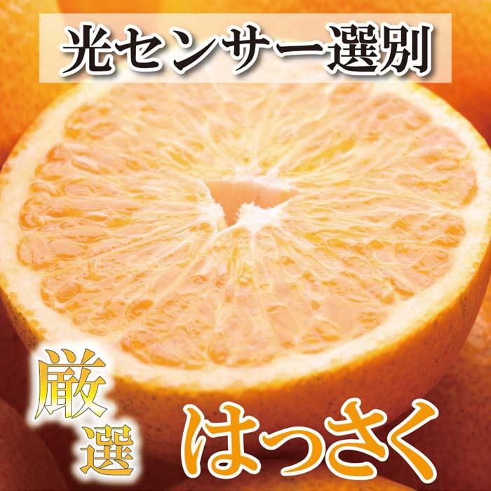 【ふるさと納税】［先行予約］厳選 はっさく2.5kg+250g（傷み補償分）［八朔みかん］［光センサー選別］［IKE25］ | 八朔 訳あり 先行予約 厳選 はっさく 3.5kg みかん 和歌山 印南町 果物 フルーツ 柑橘 お取り寄せ 傷み補償 わけあり 1月発送
