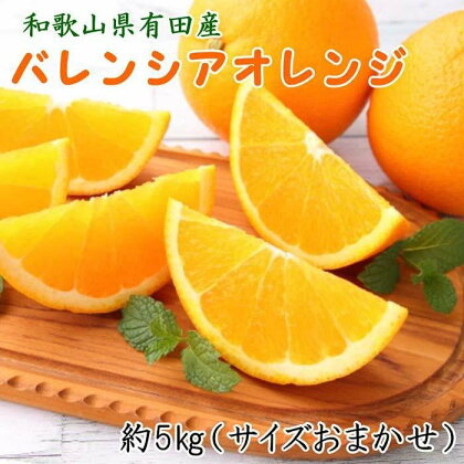 和歌山県有田産バレンシアオレンジ約5kg（サイズおまかせ）★2024年6月下旬より順次発送予定【TM52】