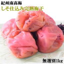 【ふるさと納税】紀州南高梅使用　しそ仕込み完熟梅干し 無選別1kg | 和歌山県 印南町 和歌山 返礼品 楽天ふるさと 納税 お取り寄せグルメ 取り寄せ グルメ 梅干し 梅干 うめぼし 梅 うめ ウメ しそ梅干し 紫蘇梅干し しそ シソ 紫蘇 ご飯のお供 ごはんのおとも ご飯のおとも