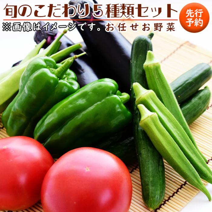 15位! 口コミ数「0件」評価「0」【先行予約】旬のこだわり5種類セット | 野菜 野菜詰め合わせ 詰め合わせ 夏野菜 冬野菜 先行予約 産地直送 ふるさと納税