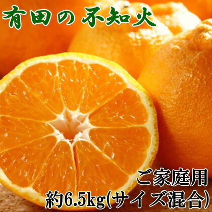 【濃厚】有田の不知火約6.5kgご家庭用向け（サイズ混合）★2025年2月中旬頃より順次発送【TM70】 | 和歌山県 印南町 和歌山 返礼品 支援 楽天ふるさと 納税 お取り寄せグルメ 取り寄せ グルメ 不知火 フルーツ 果物 くだもの 柑橘 柑橘類 かんきつ