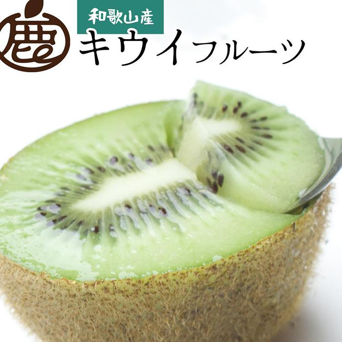 【ふるさと納税】＜11月より発送＞厳選キウイフルーツ1.5kg+45g（傷み補償分） | フルーツ 果物 くだもの 食品 人気 おすすめ 送料無料