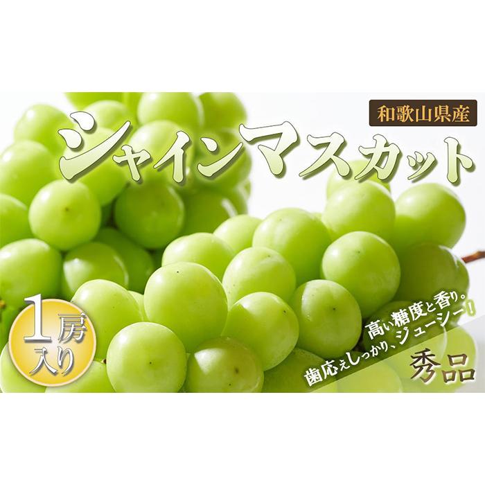 シャインマスカット 1房（600g以上）【2024年8月中旬以降出荷】【MG24】 | フルーツ 果物 くだもの 食品 人気 おすすめ 送料無料