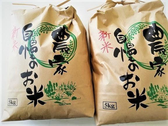 【ふるさと納税】きぬひかり10kg（5kg×2）【2023年新米の先行予約】 | お米 こめ 白米 食品 人気 おすすめ 送料無料のサムネイル