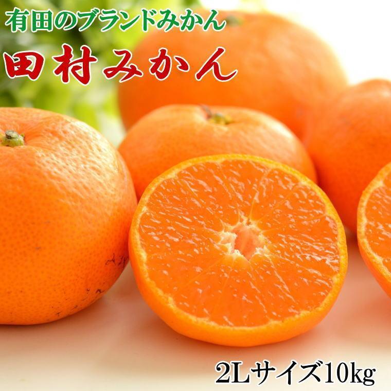 【ふるさと納税】【ブランドみかん】田村みかん約10kg(2Lサイズ)★2025年11月中旬頃より順次発送【TM108】 | 和歌山県 印南町 和歌山 返礼品 支援 楽天ふるさと 納税 取り寄せ グルメ フルーツ 果物 くだもの みかん ミカン 蜜柑 柑橘 柑橘類 かんきつ