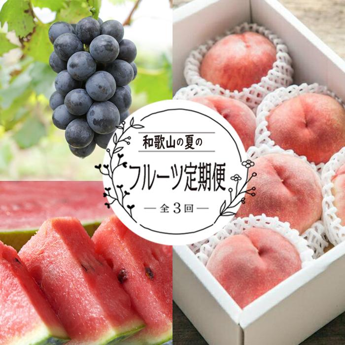 【ふるさと納税】定期便全3回 和歌山の人気の夏のフルーツをお届け!
