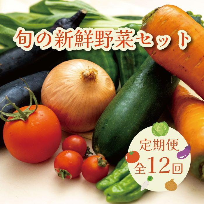 【ふるさと納税】【毎月お届け全12回】旬の新鮮野菜セットA(たっぷり13種類以上) | 野菜 やさい 食品 人気 おすすめ 送料無料
