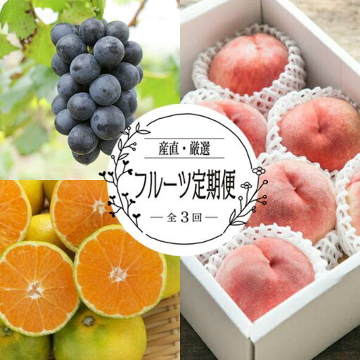 【ふるさと納税】【定期便全3回】産直・厳選フルーツ定期便【TM190】 | フルーツ 果物 くだもの 食品 人気 おすすめ 送料無料 【ふるさと納税】【定期便全3回】産直・厳選フルーツ定期便【TM190】 | フルーツ 果物 くだもの 食品 人気 おすすめ 送料無料