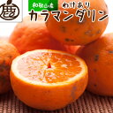 【ふるさと納税】<4月より発送> 家庭用 カラマンダリン2.5kg+75g(傷み補償分)南津海・なつみ 訳あり わけあり 希少な春柑橘 みかんと同じように食べら...