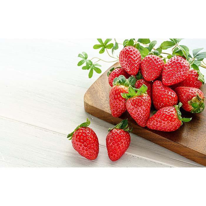 まりひめイチゴ L〜2L 12粒〜15粒×2パック[2025年1月初旬から発送][先行販売][KG7] | 苺 イチゴ いちご フルーツ 果物 くだもの 食品 人気 おすすめ 送料無料