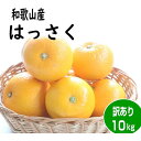 【ふるさと納税】【訳あり・ご家庭用】はっさく（八朔）約10kg 和歌山産 | フルーツ 果物 くだも ...