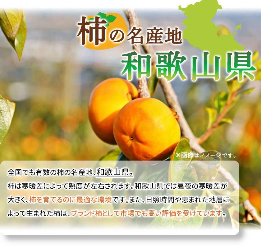 【ふるさと納税】【ご家庭用わけあり】和歌山秋の味覚　富有柿　約7．5kg「2025年11月上旬以降発送予定」【UT47】 | 和歌山県 印南町 和歌山 返礼品 支援品 納税 取り寄せ グルメ フルーツ 果物 くだもの 柿 カキ かき 訳あり ワケあり ワケアリ 家庭用 自宅用 訳アリ