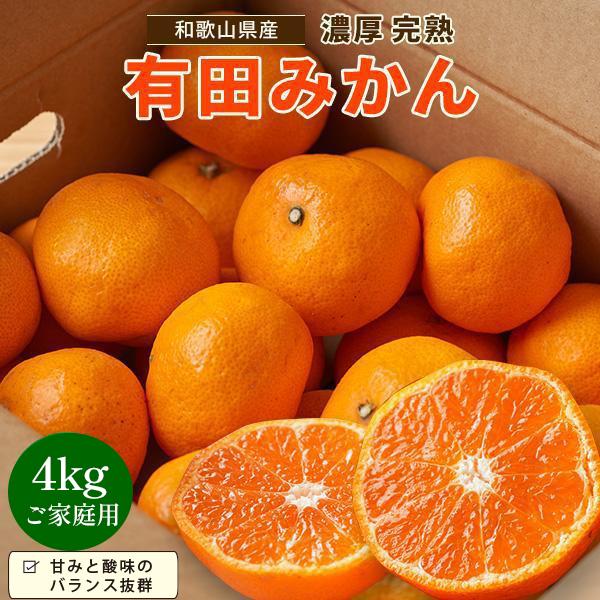 [先行予約]有田育ちのご家庭用 完熟有田みかん4kg[2024年11月上旬より発送][訳あり] | フルーツ 果物 くだもの 食品 人気 おすすめ 送料無料