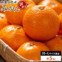 【ふるさと納税】和歌山県産 糖度12.5度 以上 訳ありみかん5kg ...(4)