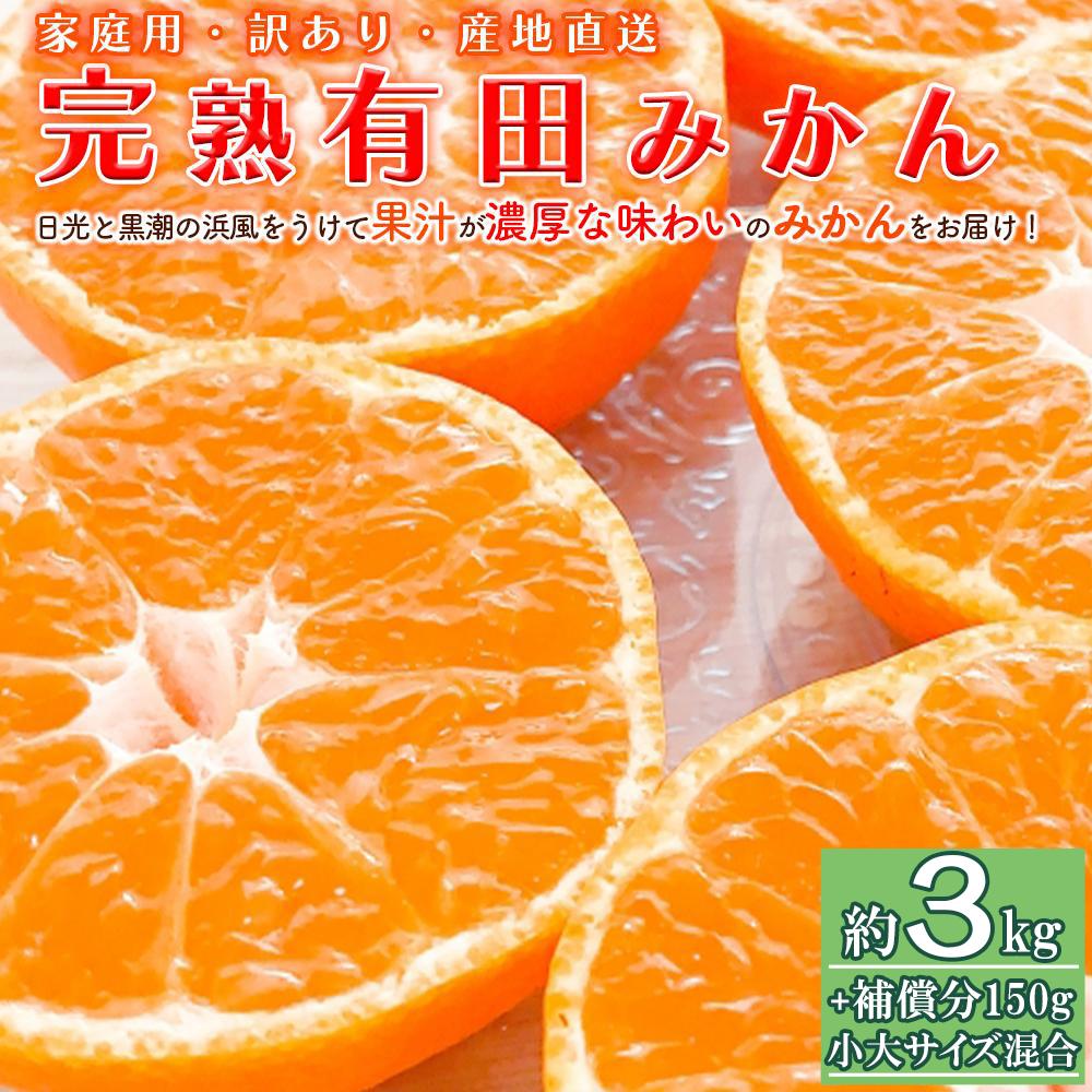 4位! 口コミ数「2件」評価「5」＜11月より発送＞家庭用 完熟有田みかん3kg+150g（傷み補償分）訳あり | フルーツ 果物 くだもの 食品 人気 おすすめ 送料無料 ･･･ 