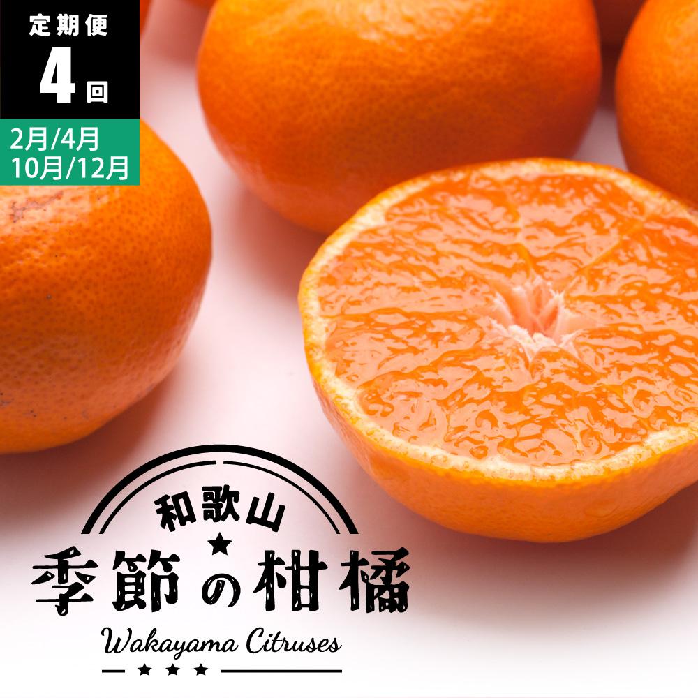 【ふるさと納税】【 2・4・10・12月 全4回 】 柑橘定