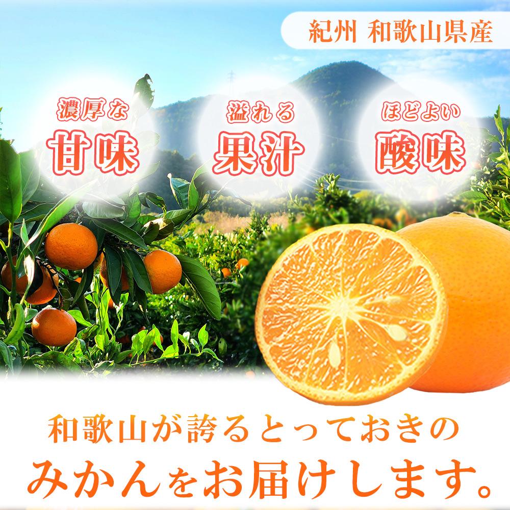 【ふるさと納税】初夏のみかん　なつみ3kg【2025年4月中旬以降発送】【先行予約】【UT56】 | 印南町 和歌山 フルーツ 果物 くだもの みかん ミカン 蜜柑 柑橘 柑橘類 お取り寄せグルメ 取り寄せ グルメ 特産品 果実 お取り寄せ 美味しい おいしいみかん ご当地