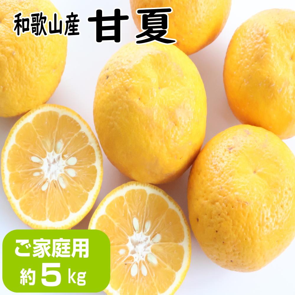 [ご家庭用]甘夏(あまなつ)約5kg 和歌山産 | 柑橘 フルーツ 果物 くだもの 食品 人気 おすすめ 送料無料