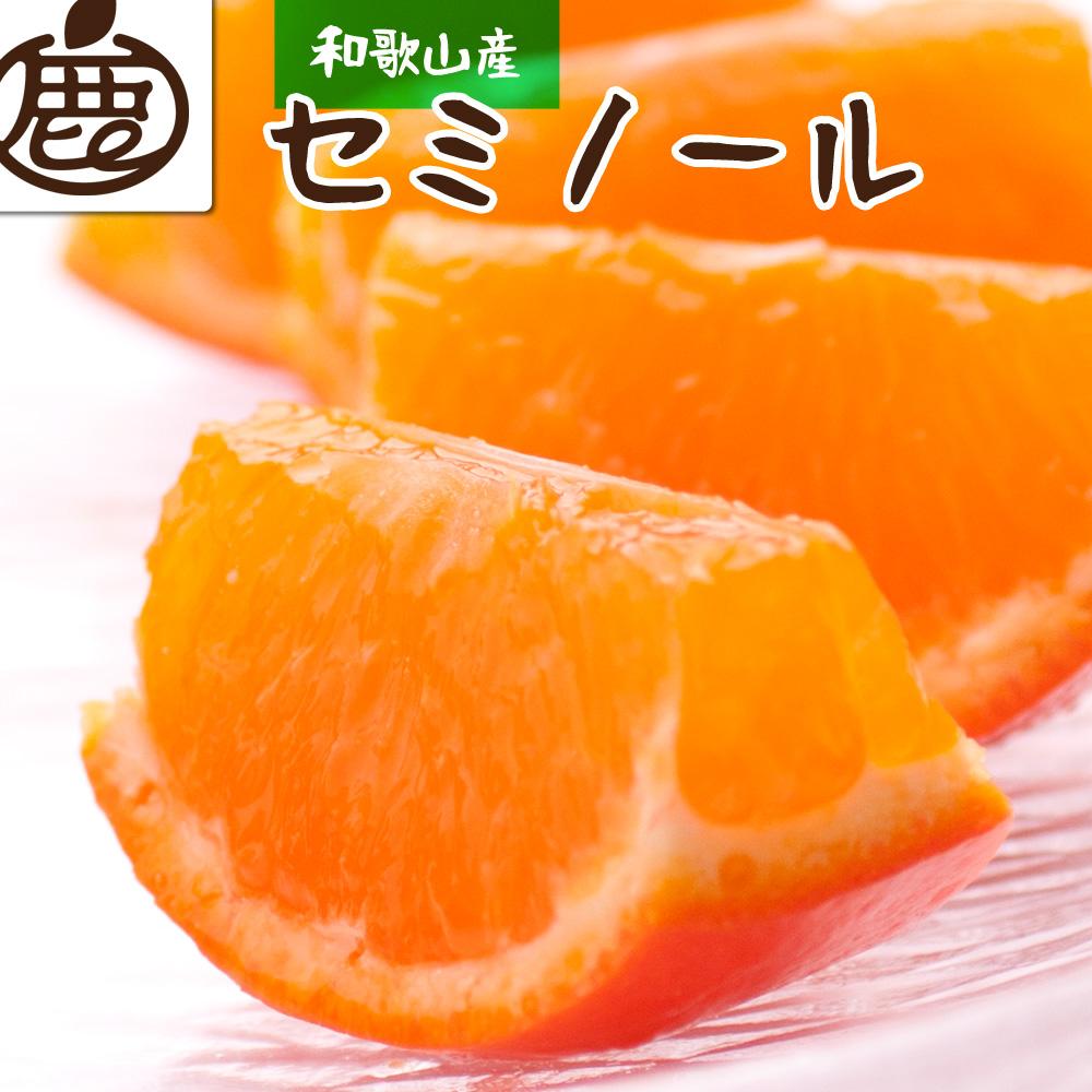 [4月より発送]厳選 セミノールオレンジ2.5kg+75g(傷み補償分)有田産 | フルーツ 果物 くだもの 食品 人気 おすすめ 送料無料 有田の春みかん 光センサー食べ頃出荷