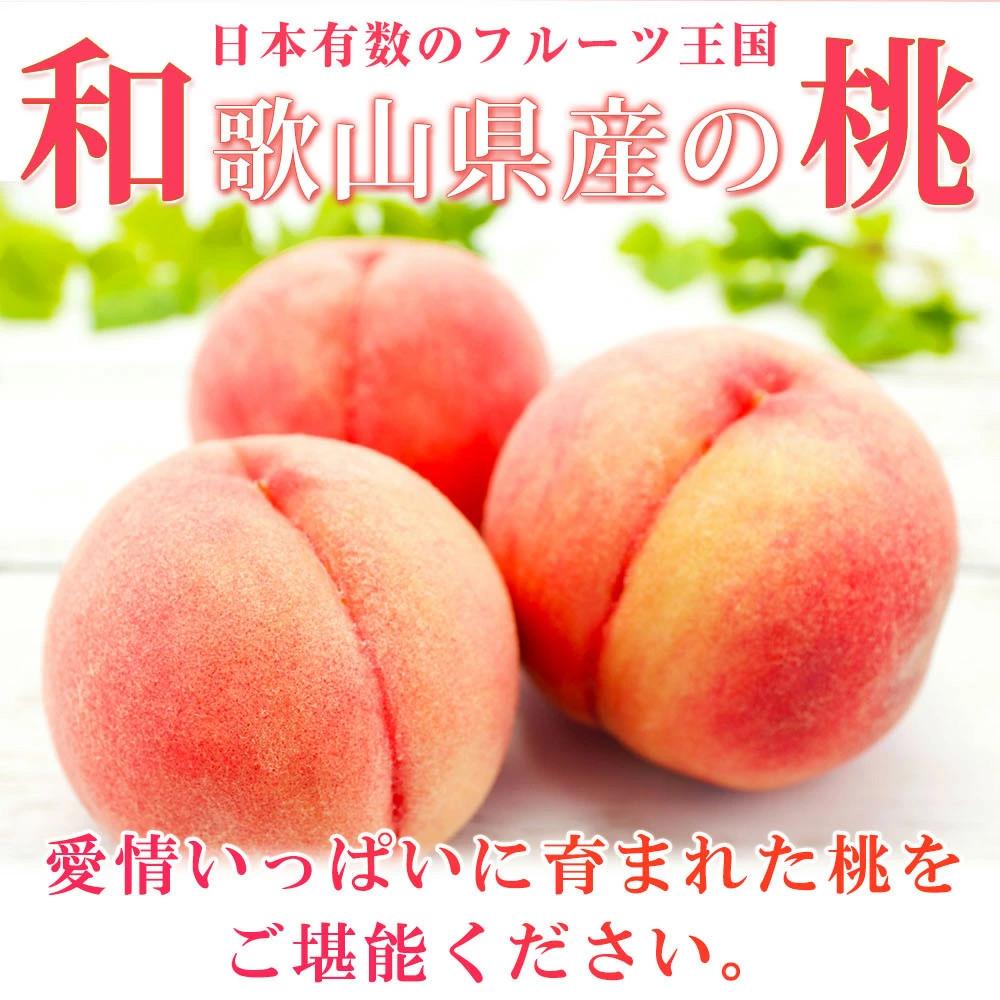 【ふるさと納税】紀州和歌山産の桃　約1．8kg　化粧箱入【2024年6月下旬より順次発送】【UT52】 | 返礼品 支援 グルメ フルーツ 果物 くだもの 桃 もも モモ ピーチ 甘い桃 美味しい桃 家庭用 自宅用 国産 おいしい 美味しい