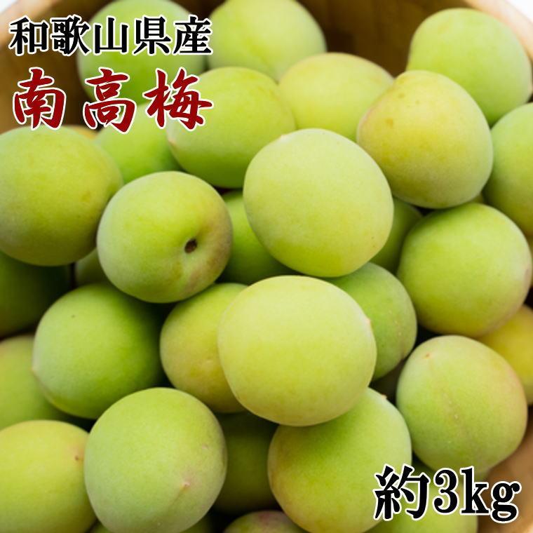 【ふるさと納税】【和歌山名産】南高梅約3kg(サイズ混合)・秀品【2025年6月より順次発送】【TM175】