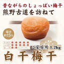 【ふるさと納税】紀州南高梅 白干梅干し 1.2kg ご家庭用 【US18】 | 梅干 食品 加工食品 人気 おすすめ 送料無料(4)