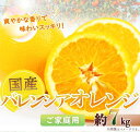 【ふるさと納税】希少な国産バレンシアオレンジ 7kg【ご家庭用訳あり】【2025年6月下旬頃~2025年7月上旬頃に順次発送】【UT77】 | 返礼品 支援 楽天ふるさと 納税 お取り寄せグルメ 取り寄せ グルメ フルーツ 果物 くだもの 柑橘 柑橘類 かんきつ(4)