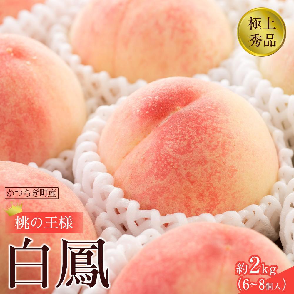 【ふるさと納税】先行販売!【モモ】 白鳳 桃の王様!約2kg6~8個 【2025年6月下旬頃より順次発送】【秀品】こだわり農家厳選 【KG12】 | もも フルーツ 果物 くだもの 食品 人気 おすすめ 送料無料
