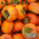 【ふるさと納税】≪柿の名産地≫九度山の富有柿約7.5kgご家庭用★2025年11月上旬頃より順次発送【TM1】 | 和歌山県 返礼品 楽天ふるさと 納税 お取り...