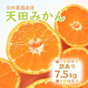 【ふるさと納税】先行予約【2025年11月下旬より発送】濃厚温州みかんご家庭用7.5kg(和歌山天田みかん)みかんの産地和歌山 北村農園直送(4)