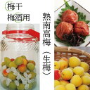 【ふるさと納税】【梅干・梅酒用】(3Lまたは2L−10Kg)熟南高梅<2025年6月上旬〜7月7日発送予定>フルーツ 果物 くだもの 食品 人気 おすすめ 送料...