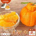 【ふるさと納税】【贈答用化粧箱入】 不知火 樹上完熟 約2kg (5~8個入)【2026年2月下旬頃~3月下旬頃発送】【KG10】 | みかん 蜜柑 フルーツ 果物 くだもの 食品 人気 おすすめ 送料無料(4)